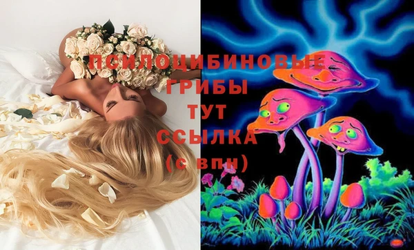 кокаин Арсеньев