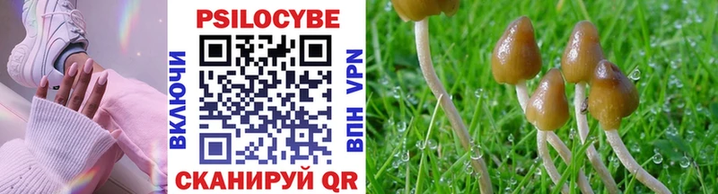 Галлюциногенные грибы Magic Shrooms  Тара 